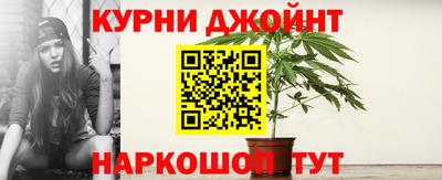 PSILOCYBIN Бугуруслан