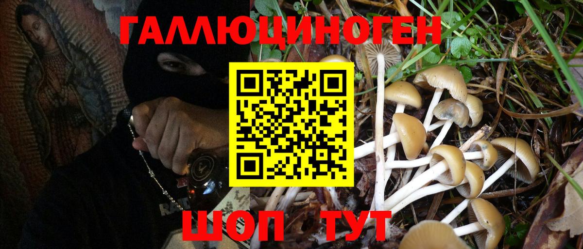 что такое   Галлюциногенные грибы Magic Shrooms  Вход с VPN  Приморско-Ахтарск 